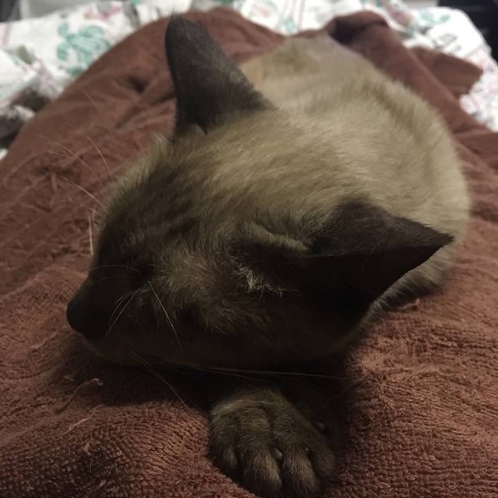 4d7ff84f b945 4dd9 813c 6464cf5cb14a