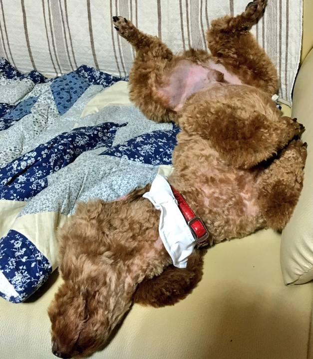 4d8047bd 616a 41f0 960a d181ffd0740d