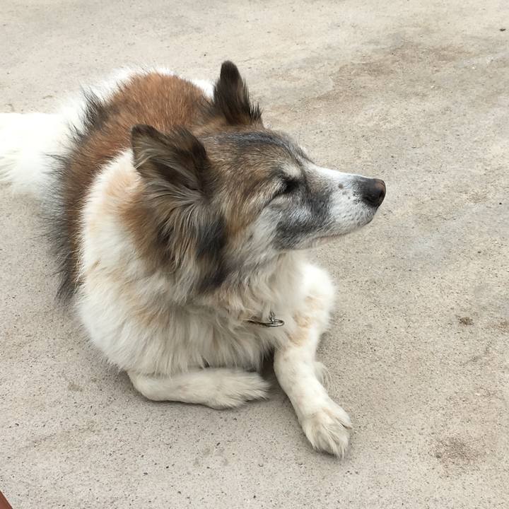 4d80a1ec 2c99 4edb 8c10 7ef1c848812d