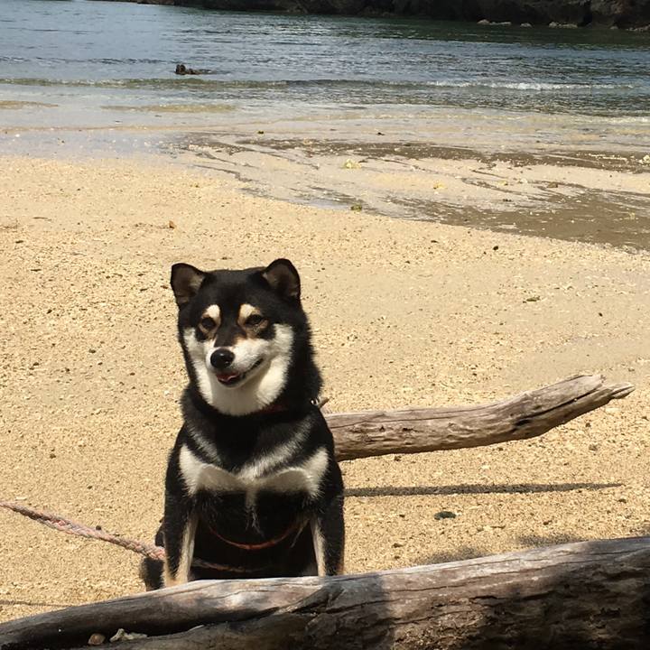 4d80a546 b5a6 4aa1 b364 ca5f0fea865e