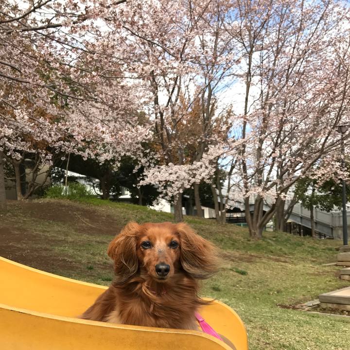 4d812008 98b3 4ce2 85c3 7b0f4ec84a5a