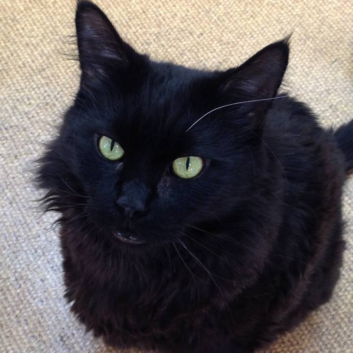 4d81aa76 7674 4cb4 934c 70f8e1c04a45