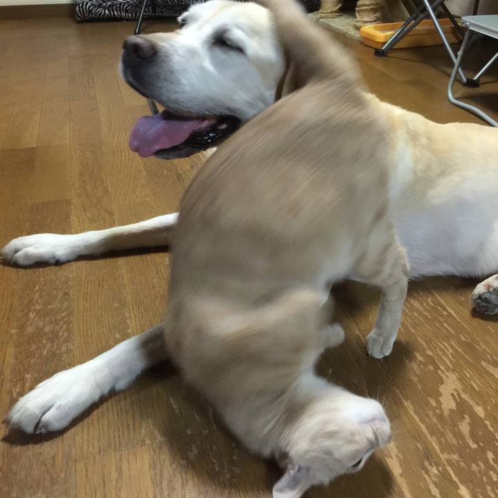 4d81cd60 77f4 4a6a b4eb 7546194d5ddd