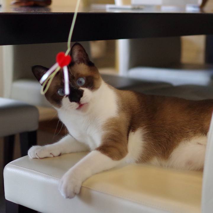 4d81f191 9c9f 4b72 bb84 d4a82db1e601