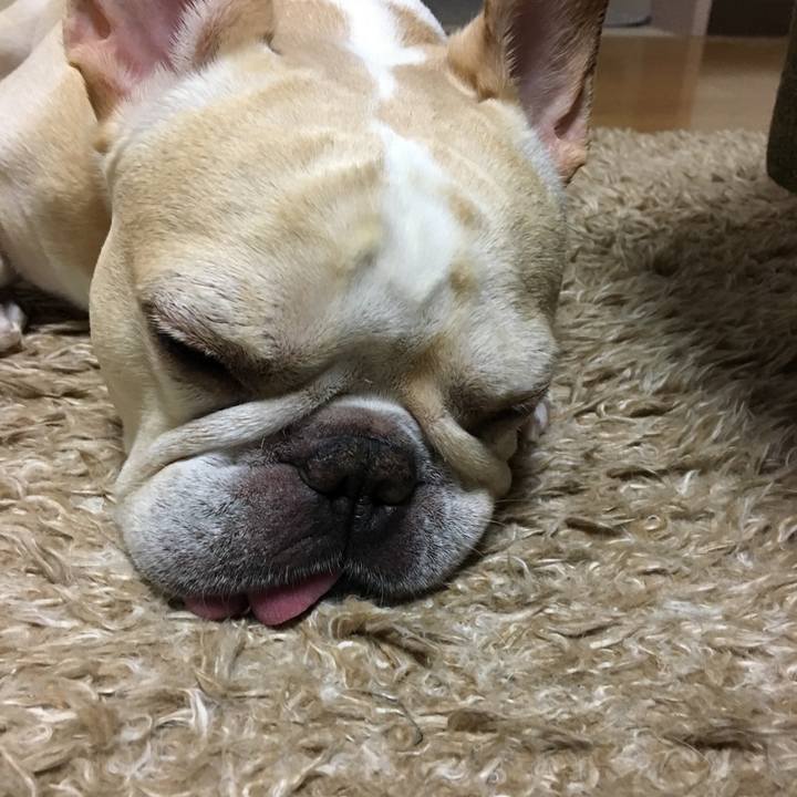 4d821d7b 9852 4b35 a2f1 e7602dbe5f93