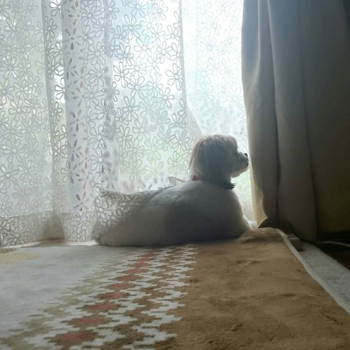 4d83cdf1 2e7d 40f0 b0a6 2e9d9b49ec22