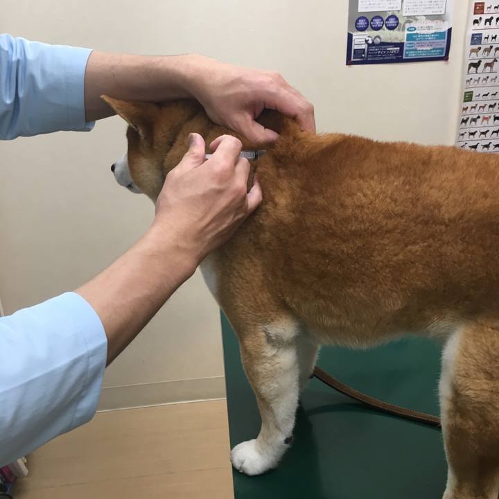 4d842c14 2035 41c2 9bcb 8c0cf4a7be7f