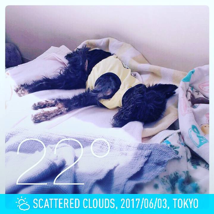 4d84ad6e 062a 4a23 bd4d 84ec76ab42ed