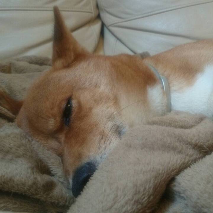 4d856455 2fae 4322 9220 e7b2bbb75bcf