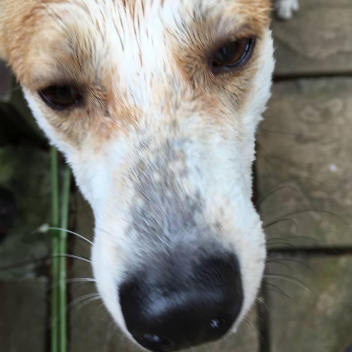 4d85b82b 5a7e 4eba 91d5 b5b691032f7d