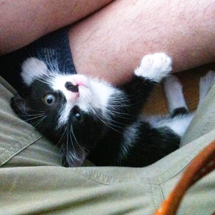 4d8628f5 d6bd 4471 9986 b5896b51eb68