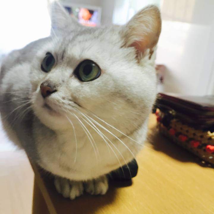 4d86936e 4d84 47a6 90eb efbf968c1bf5