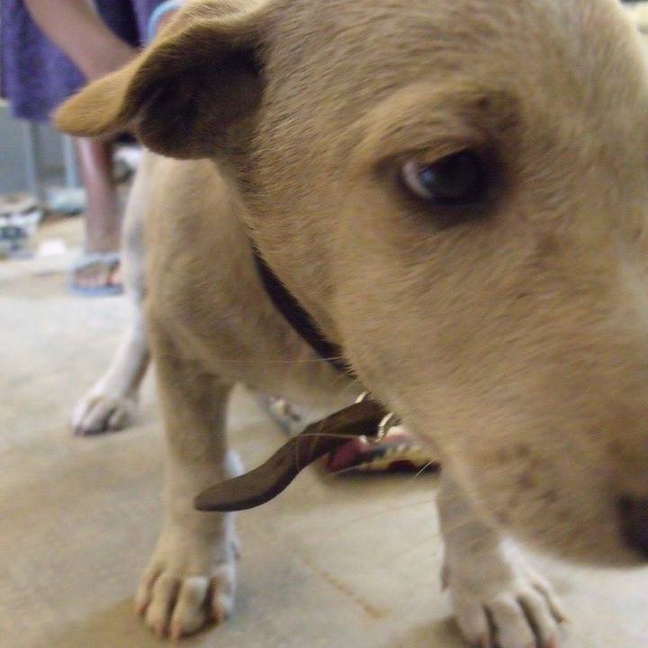 4d86bd5d 932a 403f 9110 b1cc73cba275