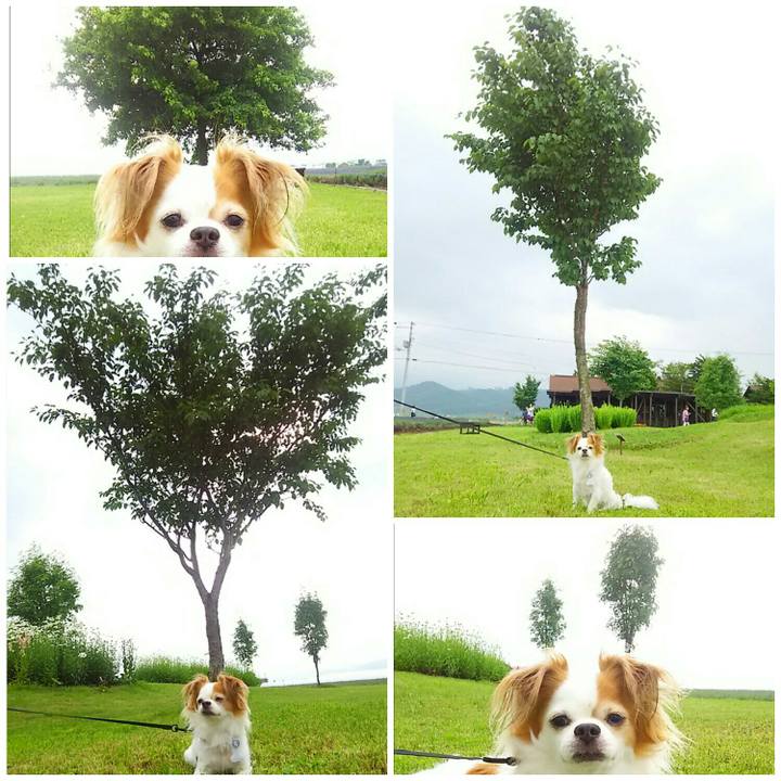 4d86fa97 6119 4296 ac45 747a963f9c37