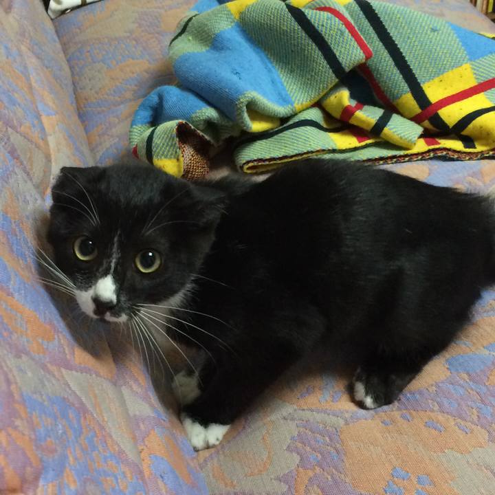 4d87030d a537 4169 81da 396605cfceaa