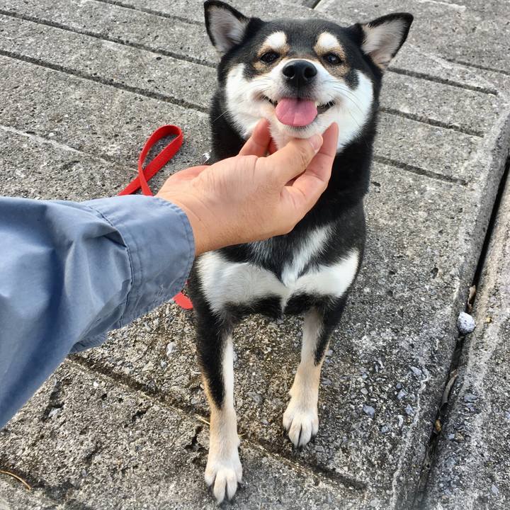 4d872794 80c3 4385 8728 c8d7875a59fa