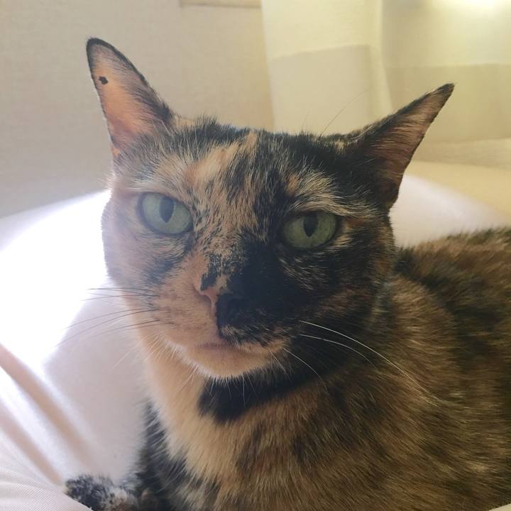 4d87baea 37d2 4b5e b22d 9a39df428713