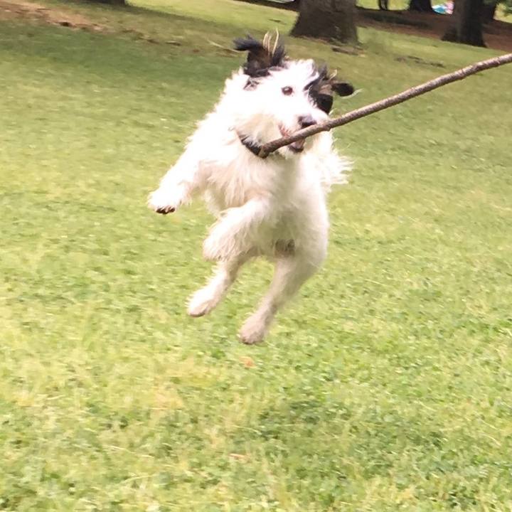 4d87e722 eccc 4e97 9be1 c40f190f05c7