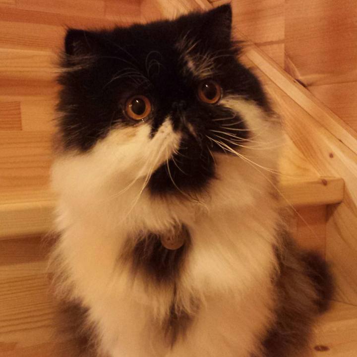 4d8844bb 2f96 447c af54 f082ddcdb859