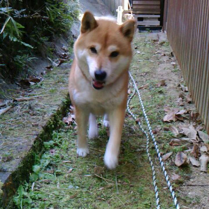 4d88f12d 7bab 4110 bc72 a5e9d2021041