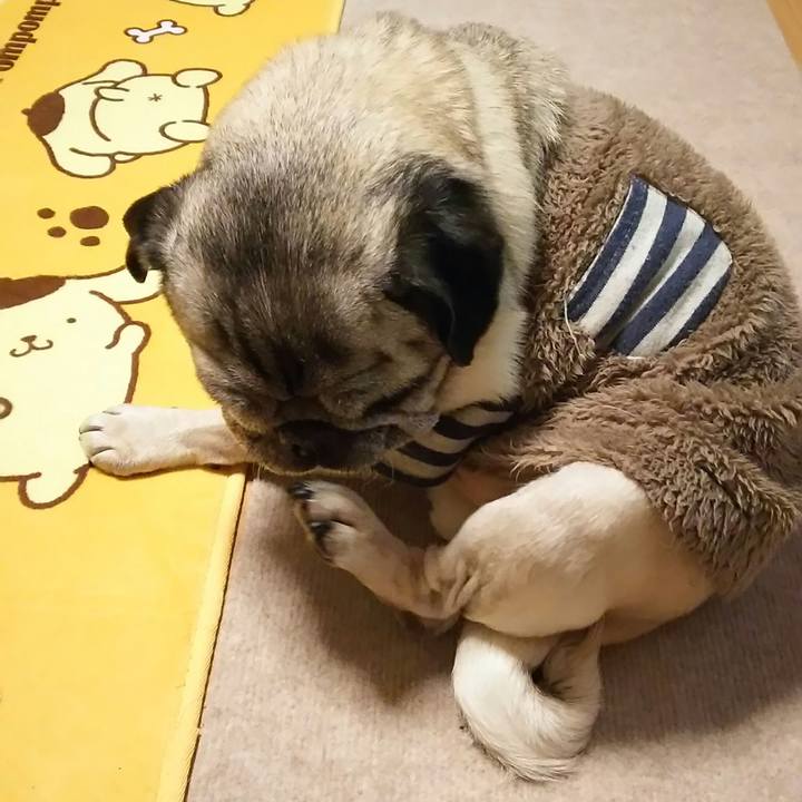 4d892b2e 8cfb 4927 bc6f 9f16304c7dc4