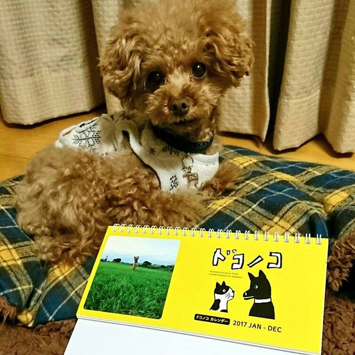 4d89751b c90f 436e 8ee2 5589a2287569