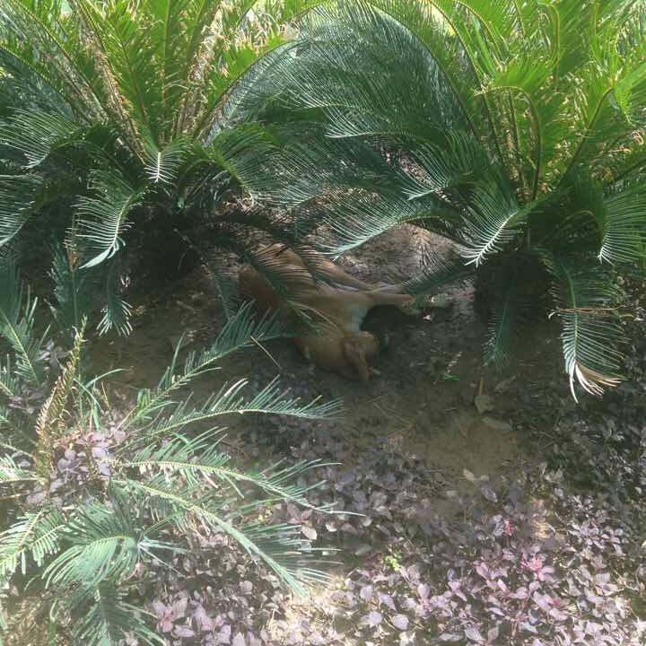 4d897c4c 8d47 4ba5 9d2e 57c3a4ff5909