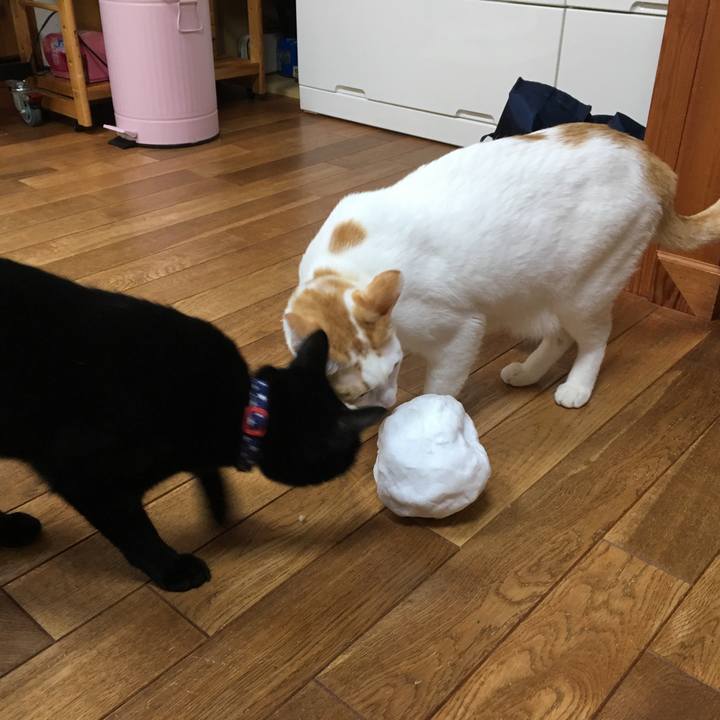 4d89c6b4 f81b 4b1e b2b5 71edf673fb4a