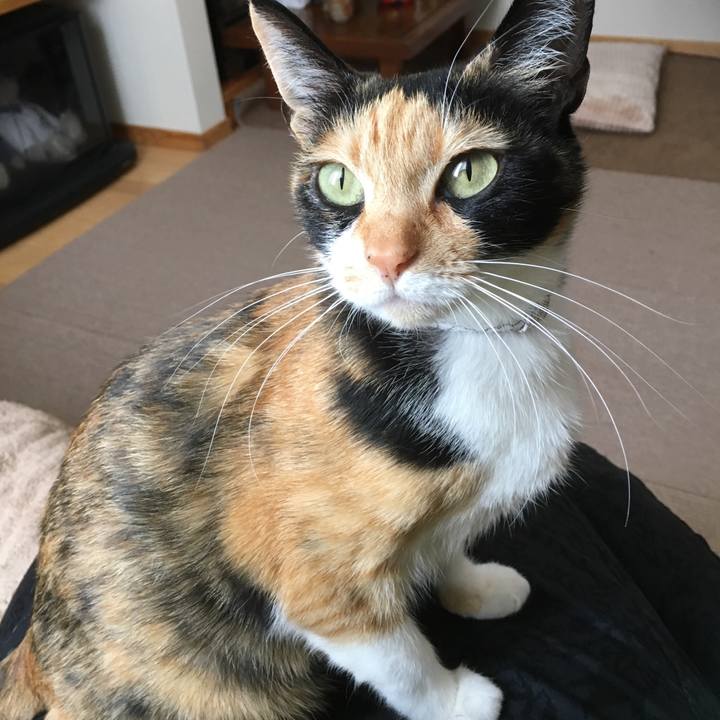 4d89d2c9 a3ac 4cc1 aa5c e65f83674384