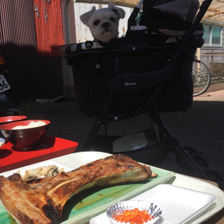 4d89d725 10fb 40ad 9d98 3a9ee5366a10