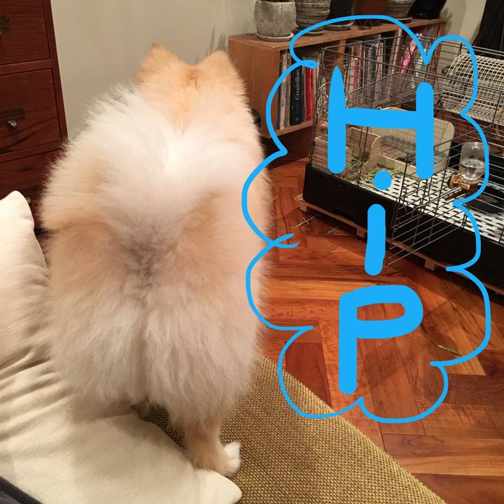 4d8a6777 3f40 4b52 8329 d0d590b75955