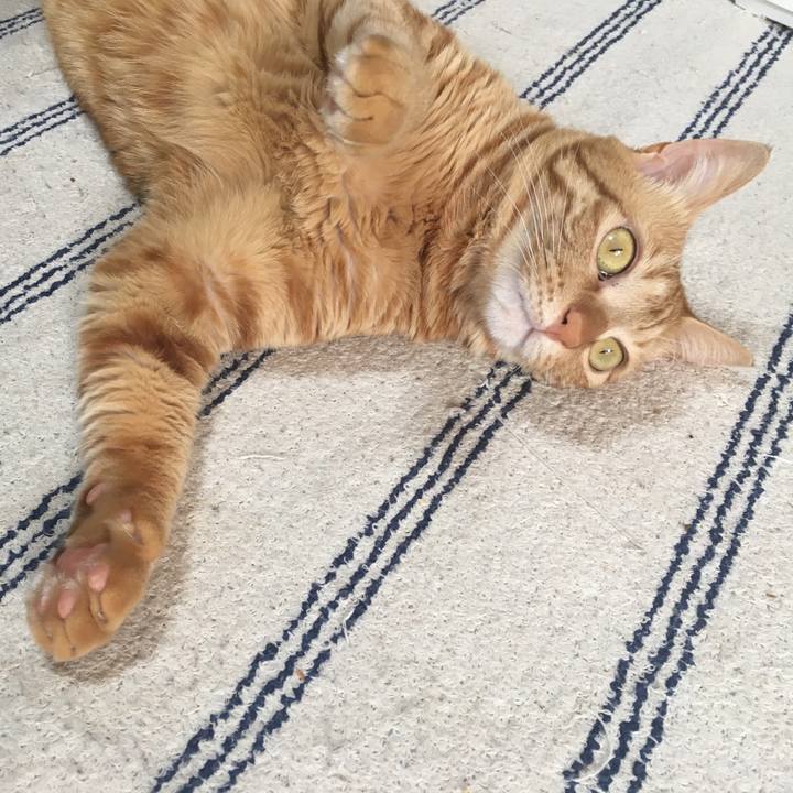 4d8a7434 076e 45e7 9d69 668df3f39960