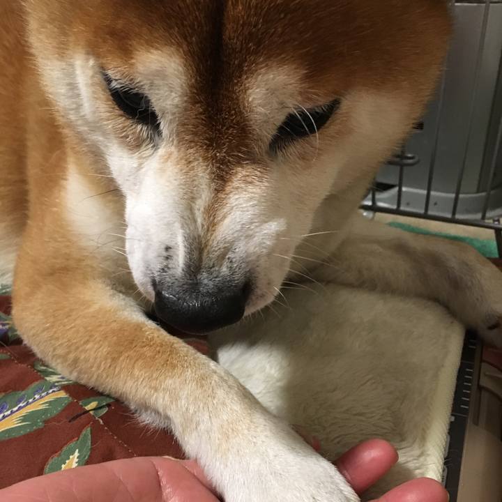 4d8ac666 71af 4d56 a478 5b7cf87d062e