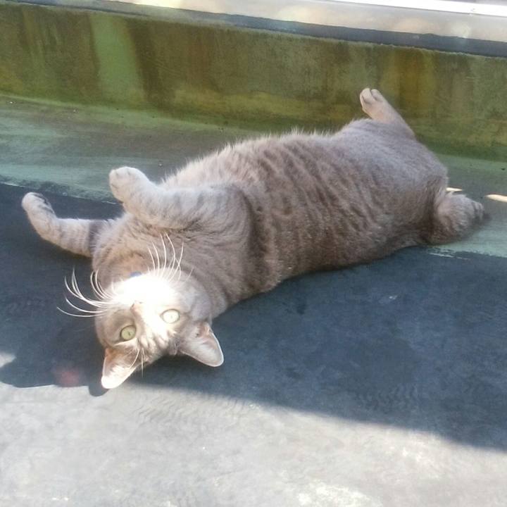 4d8b6884 b856 4485 9763 12392a04de62