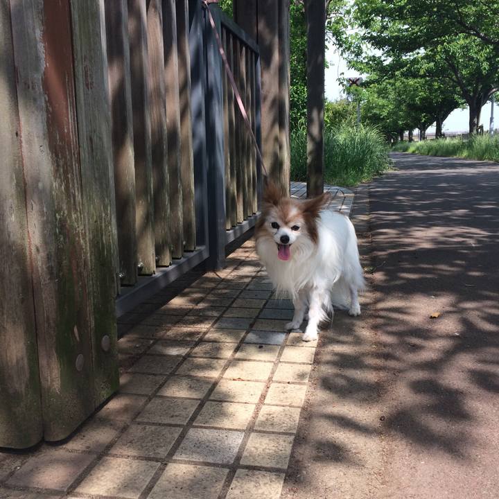 4d8be50a a79d 48a1 8998 c69b796bd3ed