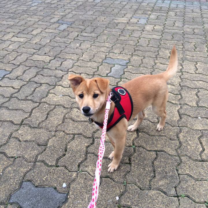 4d8ca849 f0e4 4f0e 8af2 3b008a3aa407