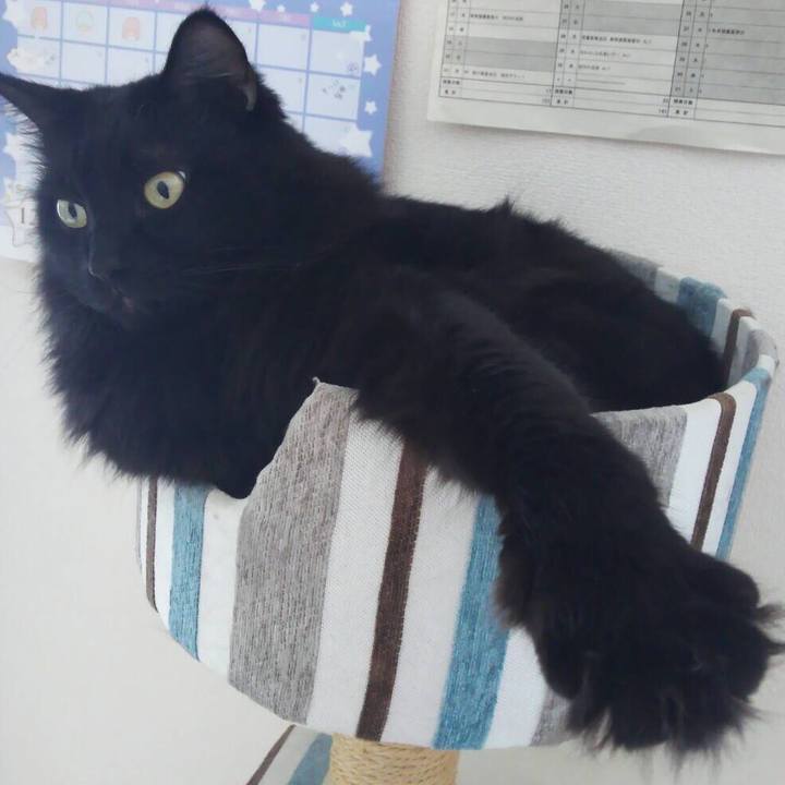 4d8d3d79 ee92 4d57 a8a5 dace202b7348