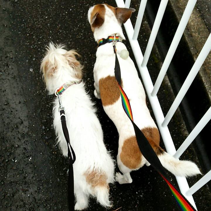 4d8d498c 5d00 47b6 b0ed 9044a16ad2af