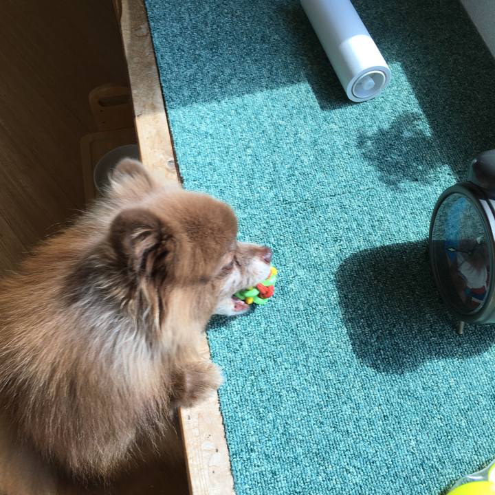 4d8df293 f9da 4c68 add5 e70300394eb3