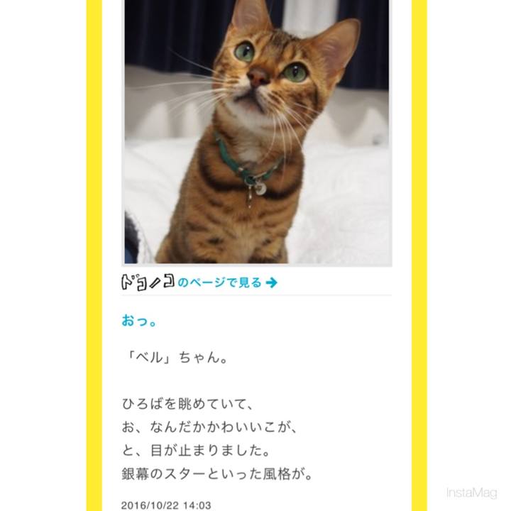 4d8e27d3 4d8e 4fcd a3dd 279804529c2b