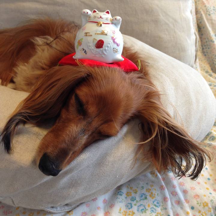 4d8eb05d 2957 4d9e 8500 93c8b506323c