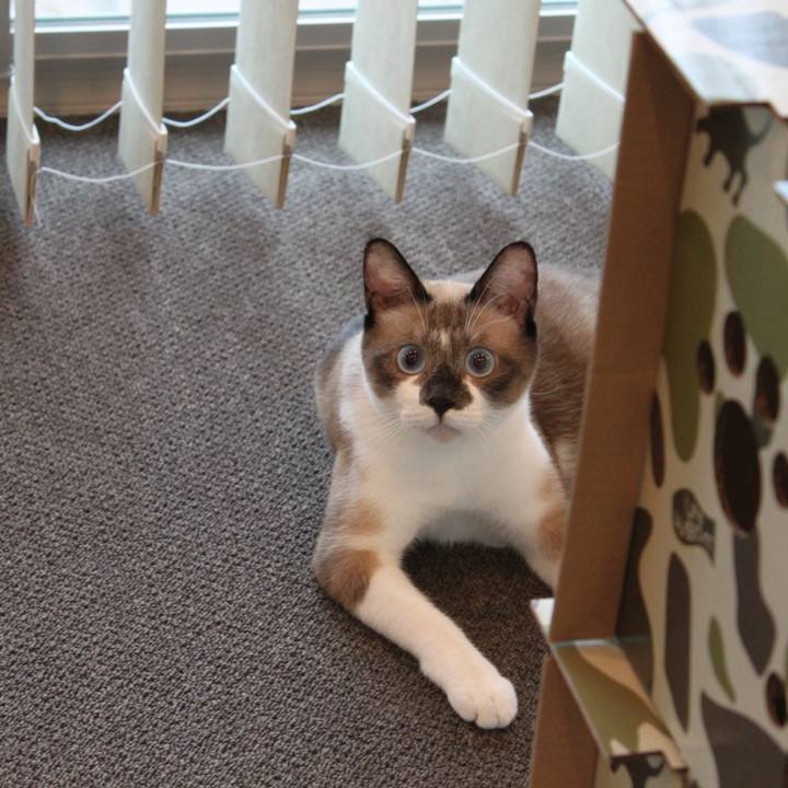 4d8eb56b 64b8 4612 a21f af4501211f8b