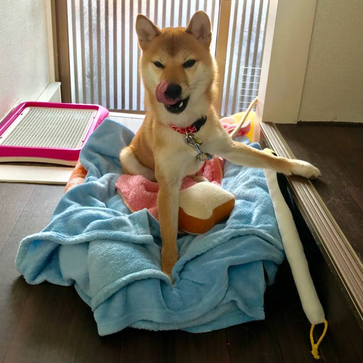 4d8f0111 e999 4cf0 ba14 67537e568ac0