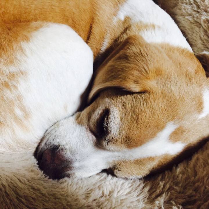 4d8fae03 51b4 4c52 8dcb 718890be9318