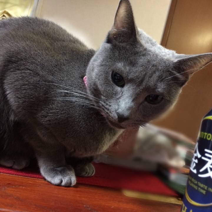 4d8ff6f0 29a0 4ef9 915f f3110c29e7f7