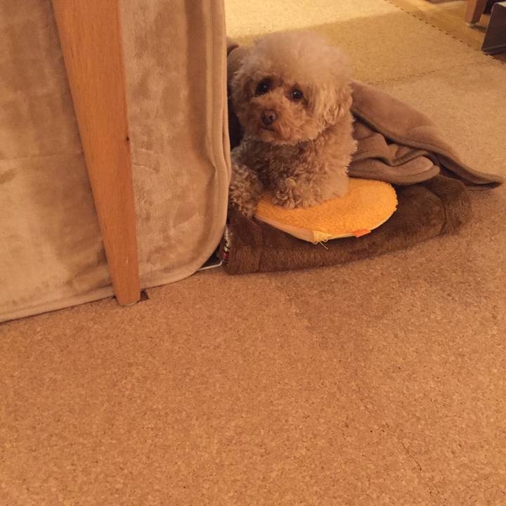 4d90a7aa 8695 4f9f bc72 1c719cd5d4f3