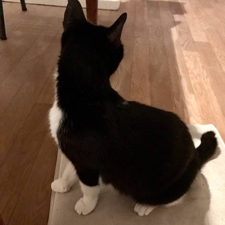 4d91215c 8547 405b 9ab5 6d72a25d89cc