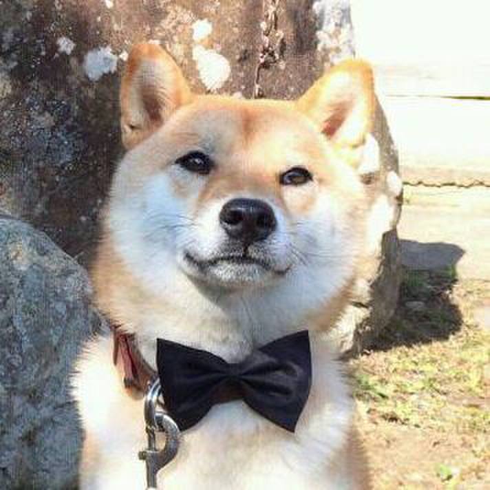 4d923c59 309e 4b82 bb96 a13d51e4e994