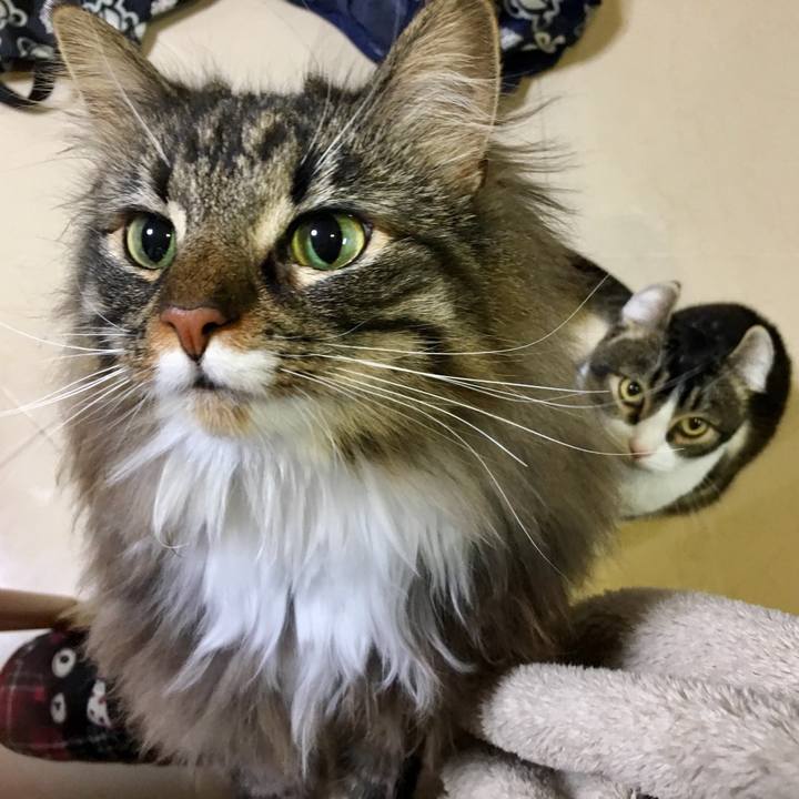 4d92ea52 9d52 4a81 add5 1b6169952937