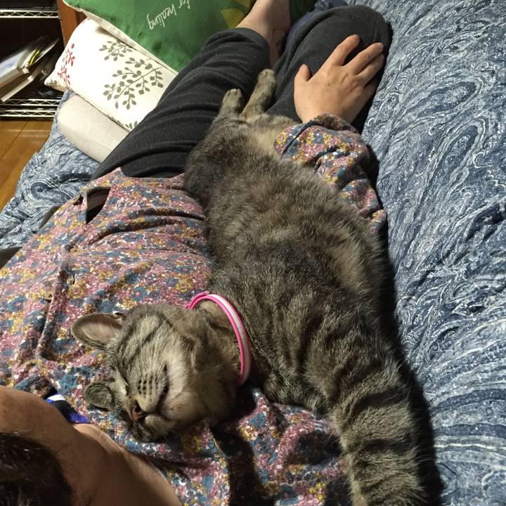 4d933205 b88e 4ca2 9946 b1898652453b